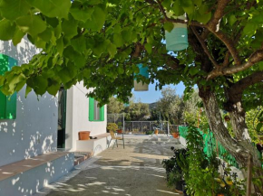 Maison de village au calme - Alonia Village House - Dodekanes Rhodos